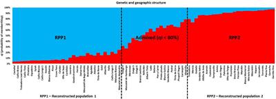 Screening of Galician grapevine varieties by SNPs, phenotypic traits, and phytopathology